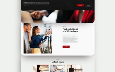 Portfolio Transfer Pricing Solutions Website Redesign