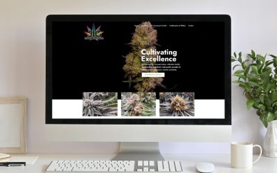 Portfolio Website Design JIG Crafted Cannabis